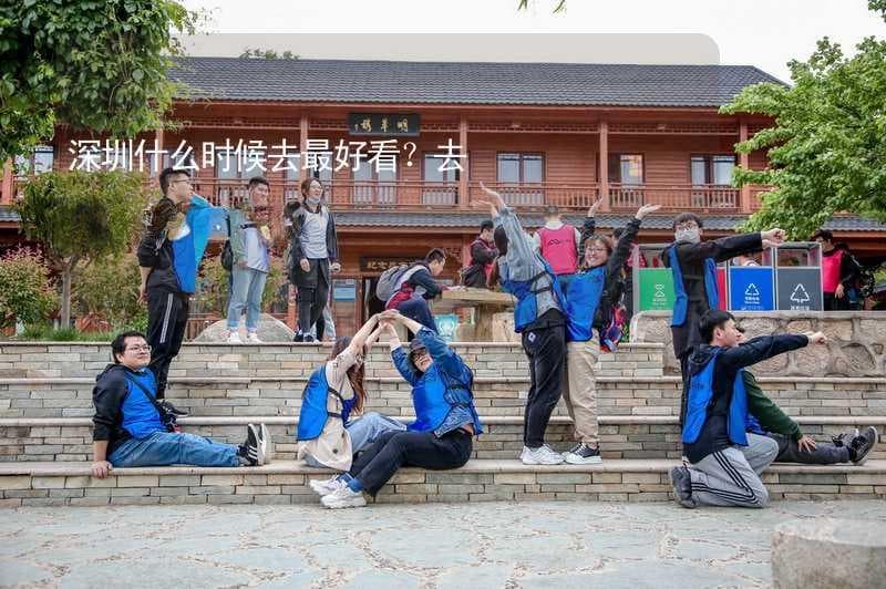 深圳什么时候去最好看？去深圳的最佳时间