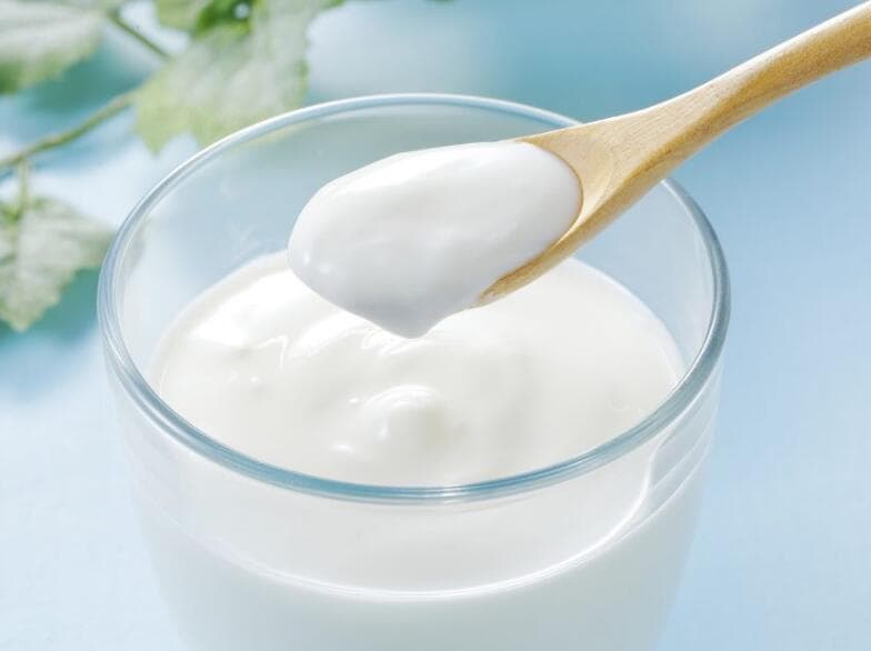 乳酸菌发酵技术提升食品营养价值，应用遍及乳制品到酒类