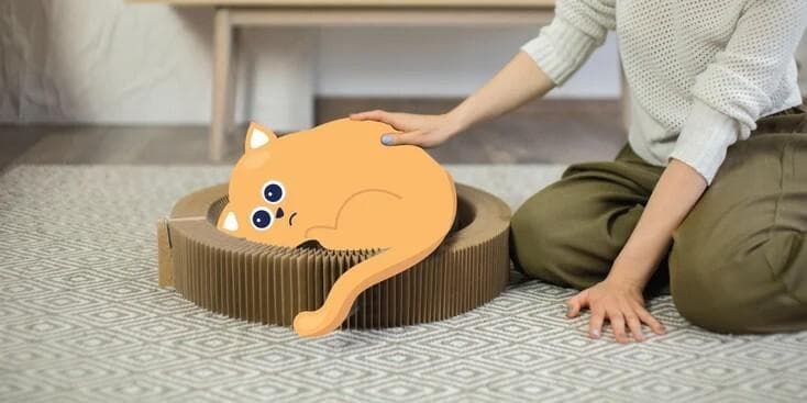 猫与人类的人畜共患病：完整指南