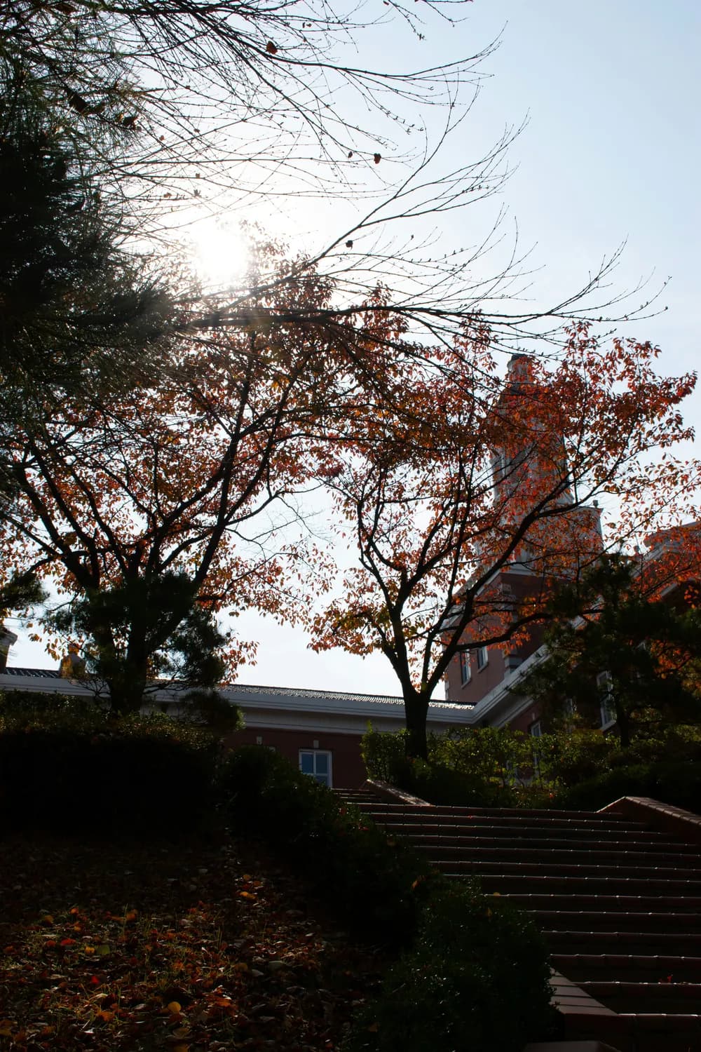 重庆巴蜀中学：升学率再创新高，揭秘“巴蜀模式”的成功密码