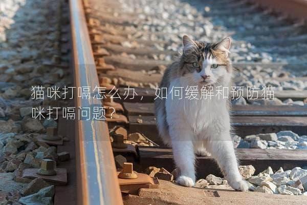 猫咪打嗝怎么办？从原因到预防的全面指南
