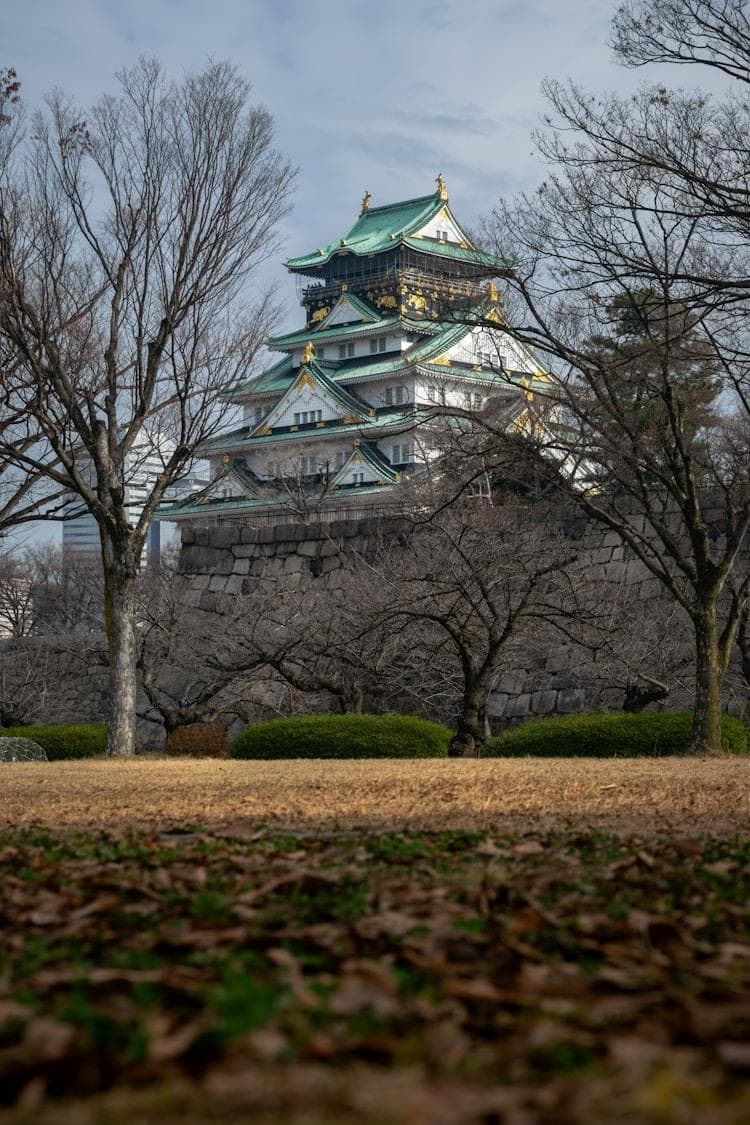 日本旅游攻略：从注意事项到预算全解析