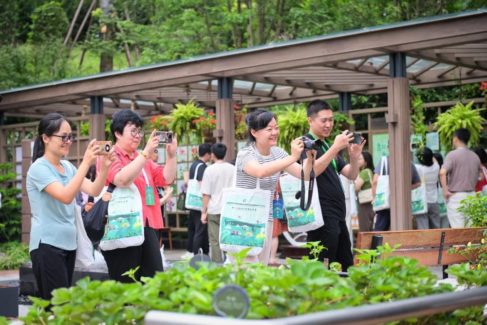 植物成为“理疗师” 园艺疗法专家走进成都世园会