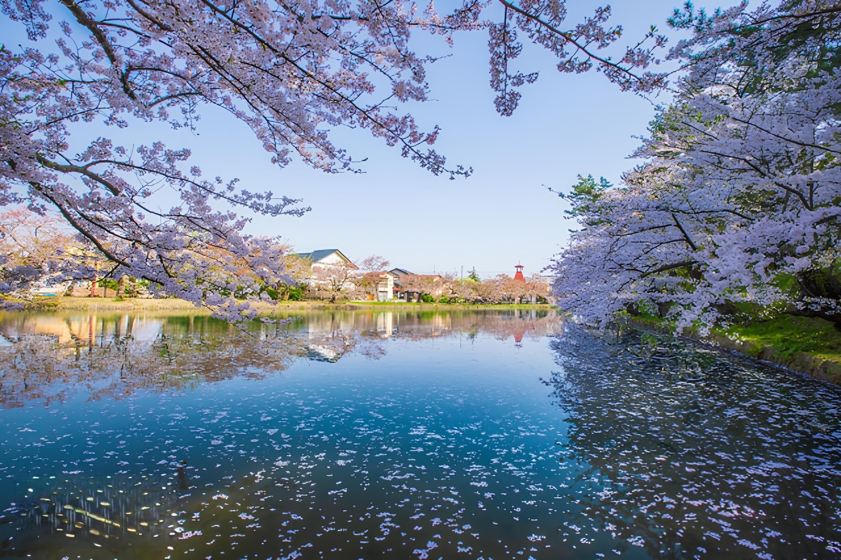 2025年日本东北赏樱景点推荐