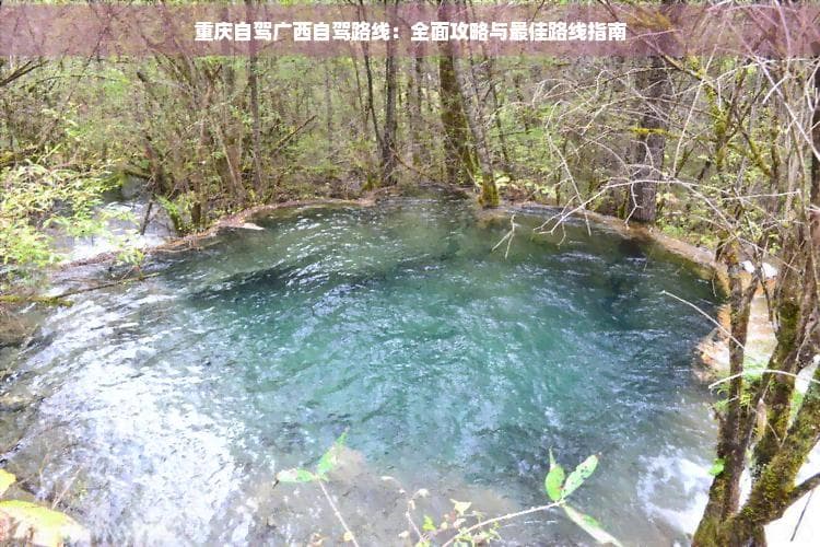 重庆自驾广西自驾路线：全面攻略与更佳路线指南