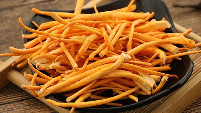 蛹虫草的功效与作用、禁忌和食用方法