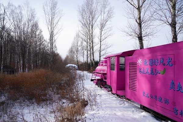 亚布力森林小火车：穿越林海雪原的观光之旅