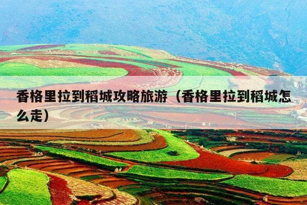 香格里拉到稻城旅游攻略：交通方式与路线规划全解析