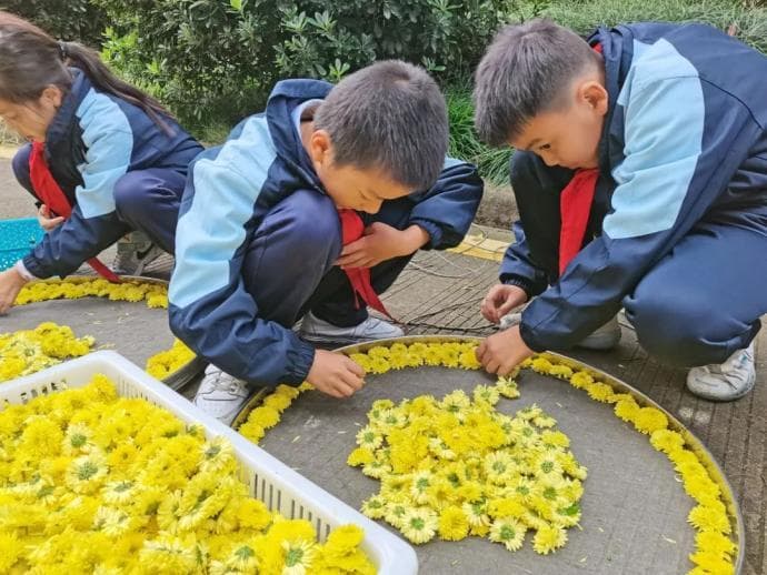中医药文化正在丽水校园里“发芽”