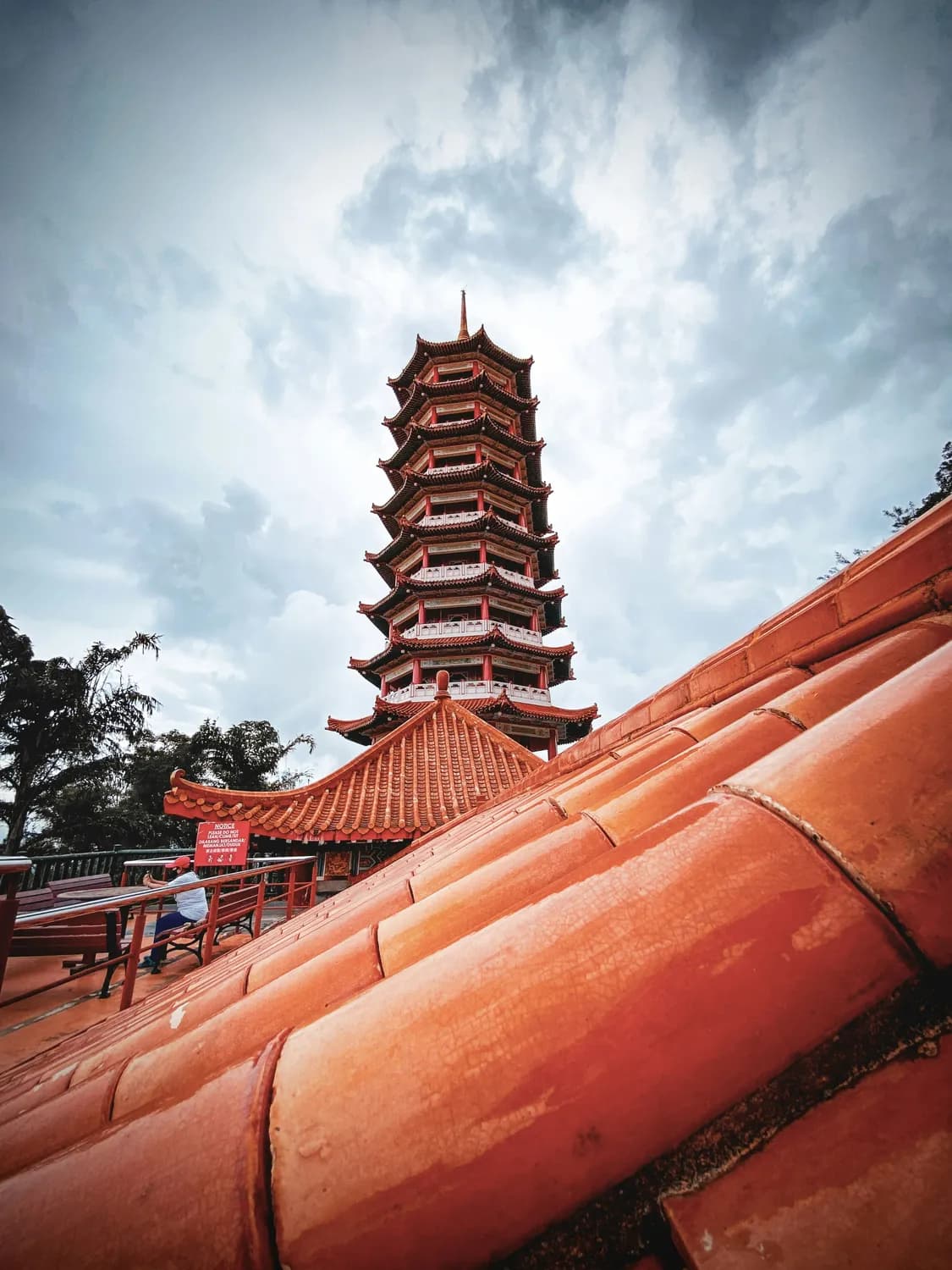 泉州心理推荐：如何缓解孤独感？