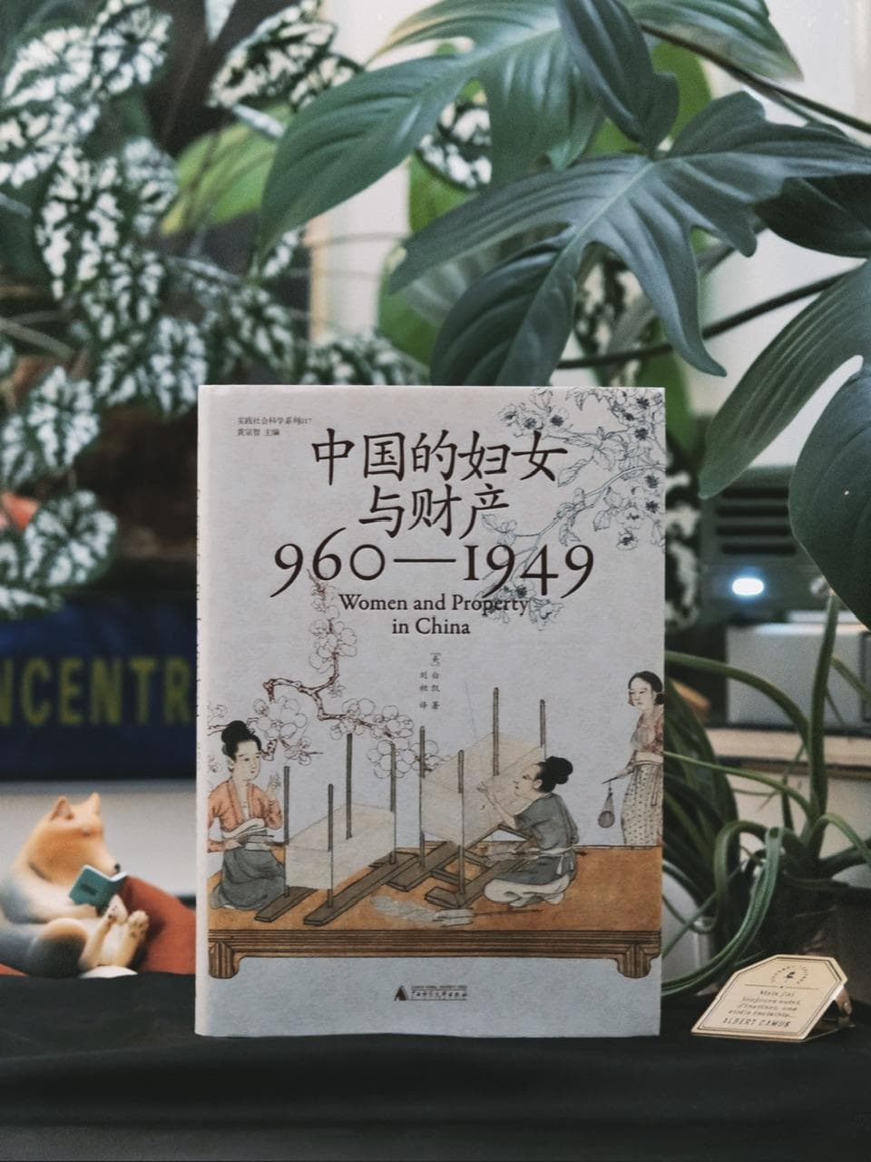 为未来的法律史和女性史研究画下了基准线