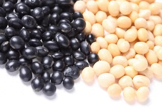 豆浆之辨：黑豆浆与黄豆浆的奥秘，两者有什么区别？