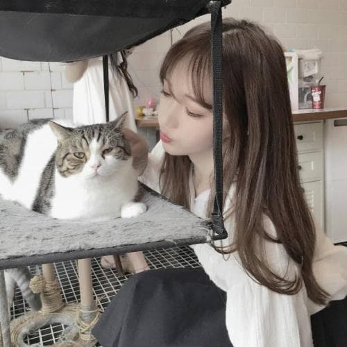 恋爱经济学：揭秘追女生花费多少应适时止损，平衡情感与财务