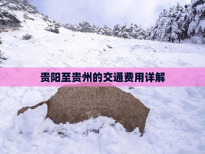 贵阳至贵州的交通费用详解
