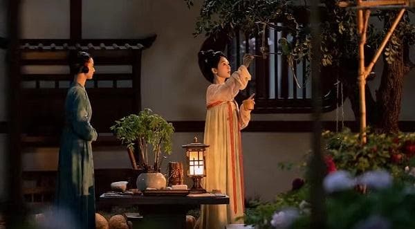 从《国色芳华》看古今离婚制度