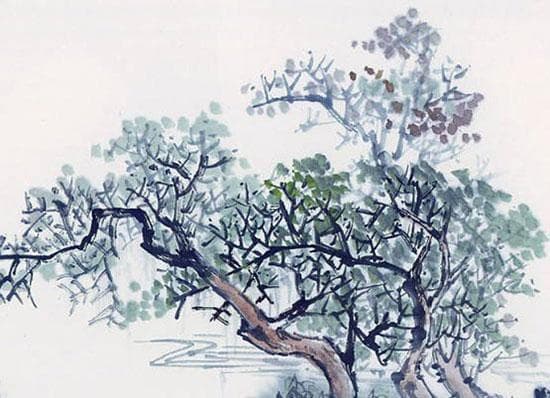 八字神煞天喜的含义 四柱命理中的天喜解析
