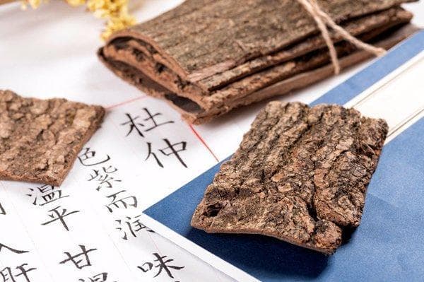 中草药顶天柱的功效作用