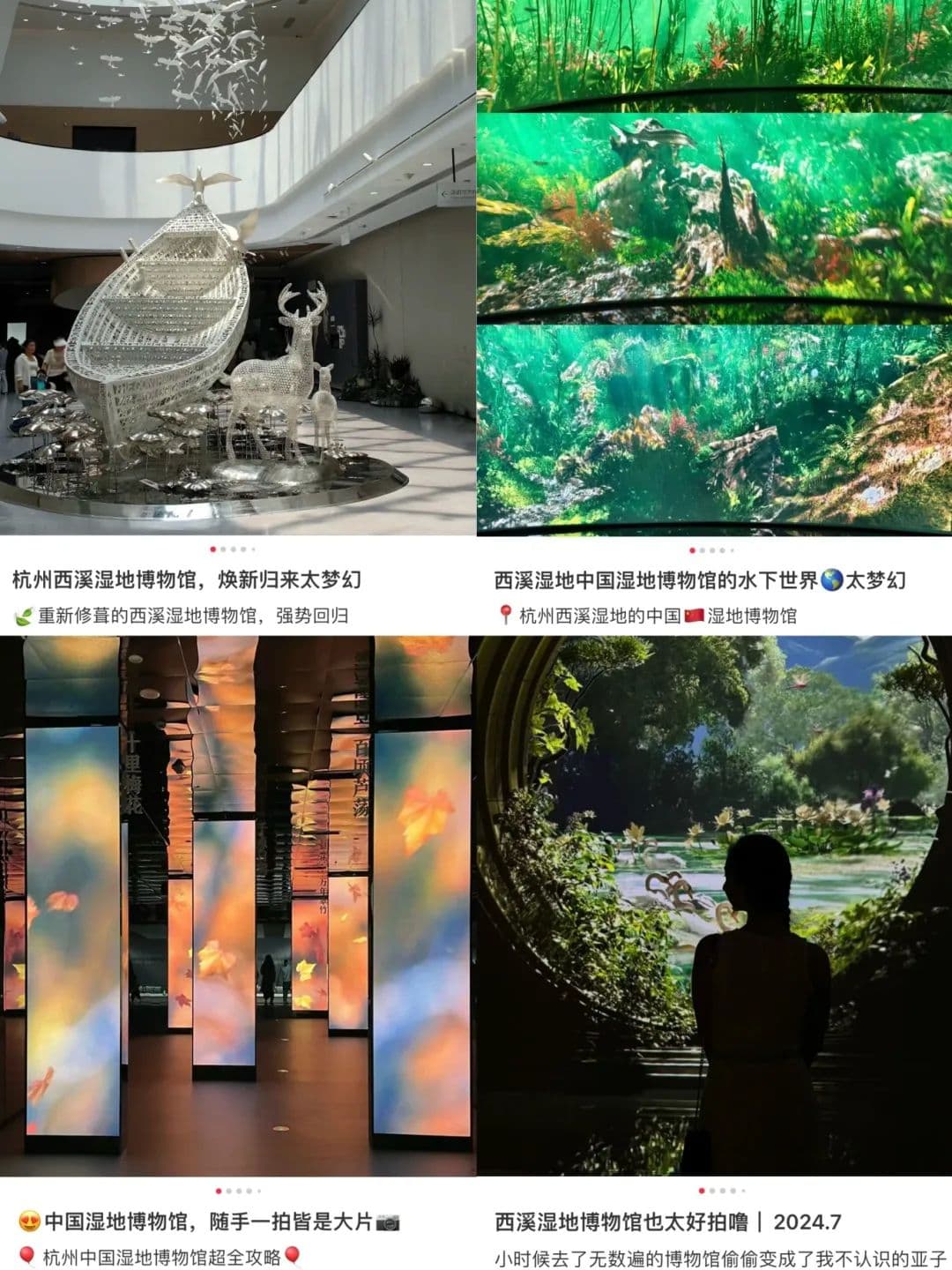 杭州中国湿地博物馆焕新归来：打卡新地标，感受湿地之美