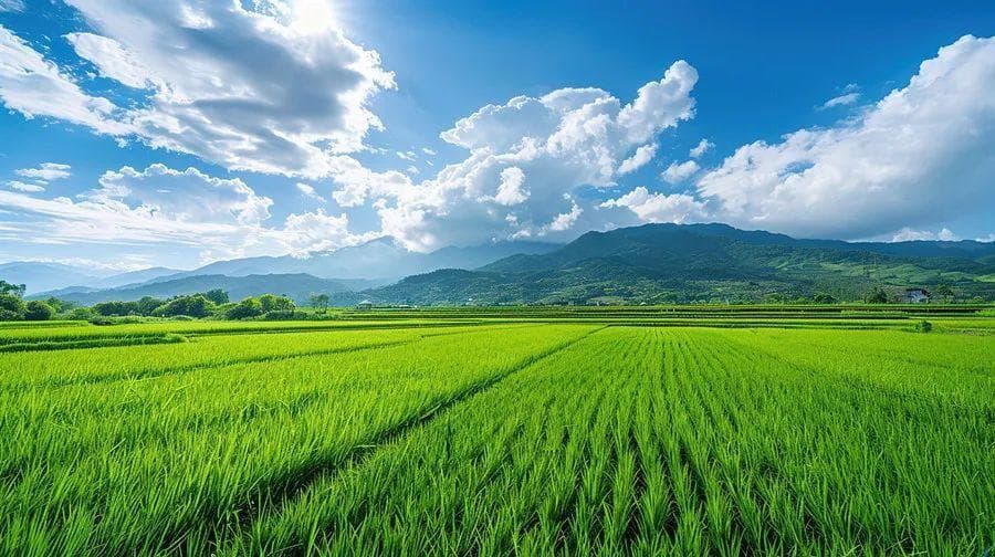 春季易疲惫，感觉身体被“掏空”？改善气血两虚，用好这三招