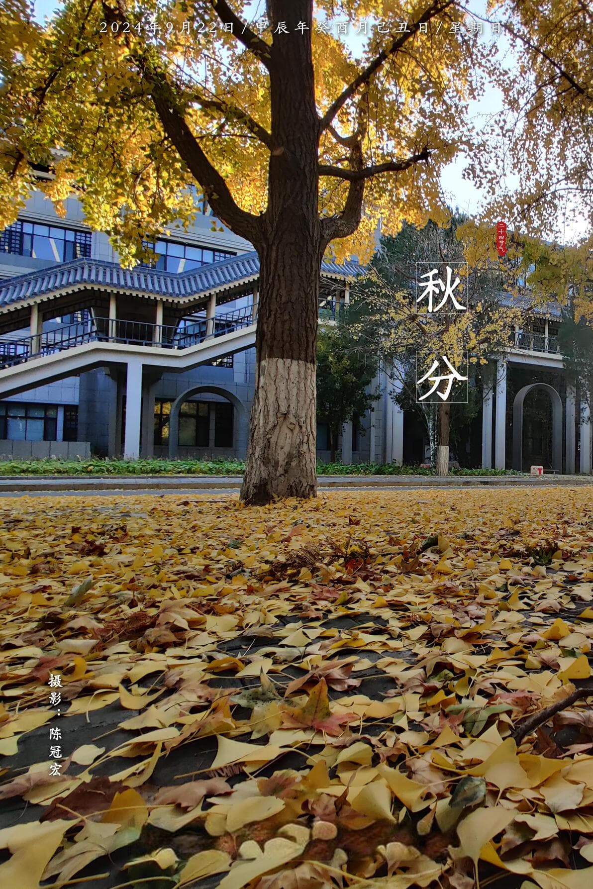 基础模型时代下的移动机器人：从Shakey到智能自主
