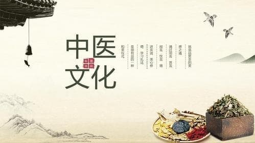 中医养生的秘密：如何通过饮食调节体质
