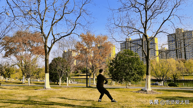 太极心法揭秘：练再多的拳，不如花时间去悟拳