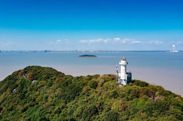 走进上海自然之巅 大金山岛依然保持半原始状态