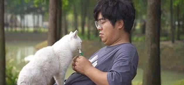 淮安白马湖肥猫岛：公益与旅游融合的新典范