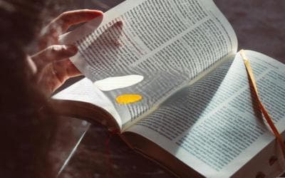 让你的文字更生动：如何巧妙运用转述句