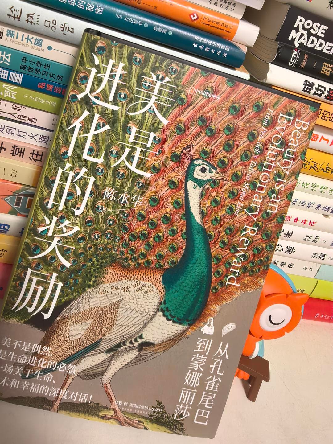 颠覆认知！进化论竟是美学的终极答案？