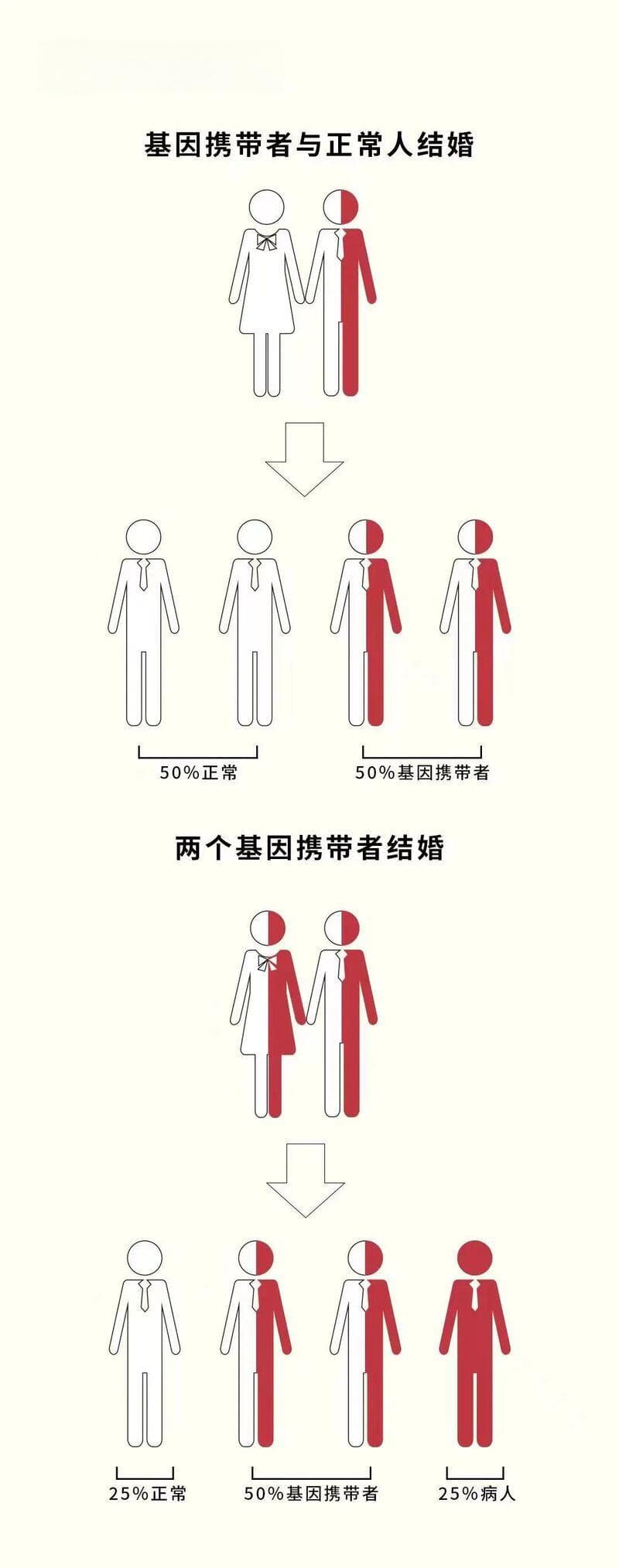 健康锦囊365｜世界地贫日：夫妇双方都是地贫基因携带者，怎么办？