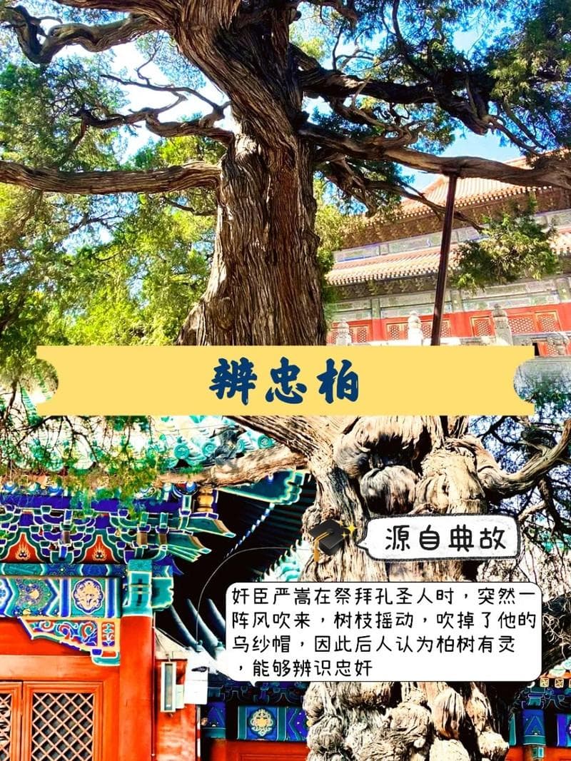 孔庙国子监：古代最高学府的完整游览攻略