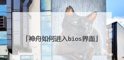神舟战神电脑设置U盘启动教程（轻松操作，快速启动电脑）