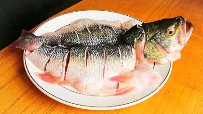 鱼肉大显神通？最新研究：鱼肉或能在12小时内调节血脂水平？