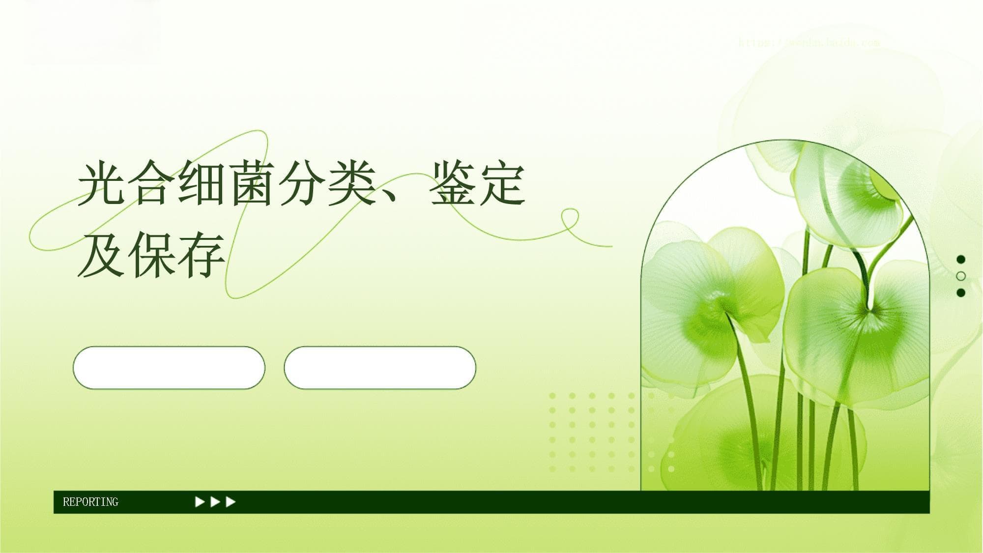 光合细菌分类、鉴定及保存