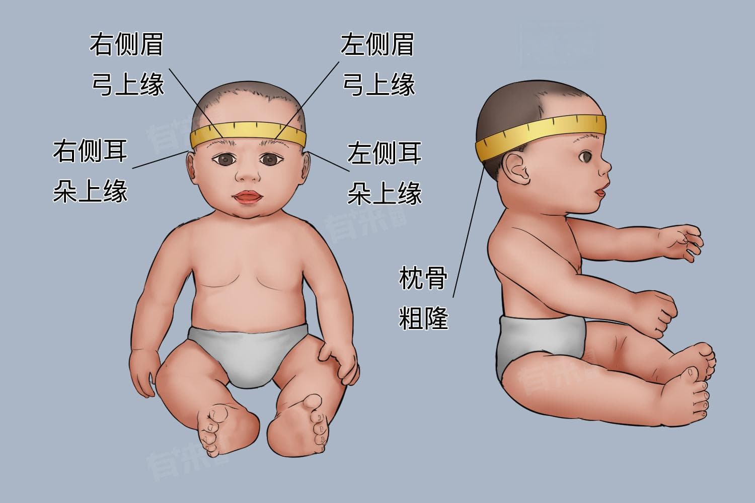 新生儿头围：正常范围、测量方法及异常预防
