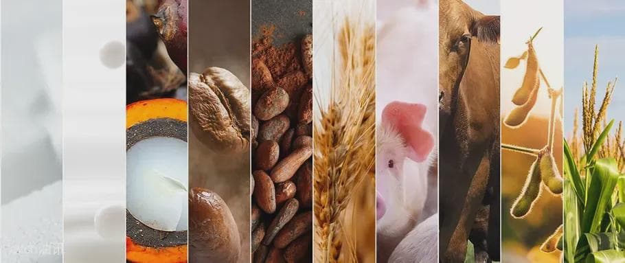 2025年粮油食品价格预测：哪些上涨哪些降温？