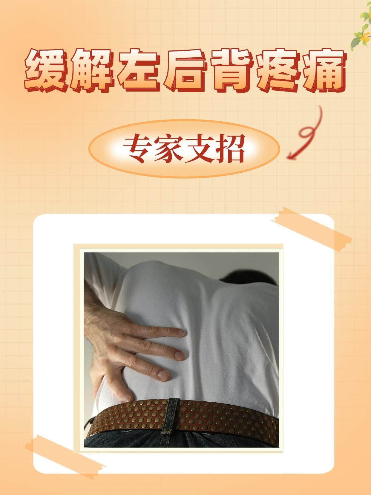 缓解左后背疼痛，专家支招