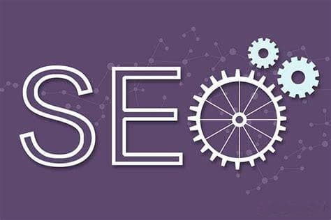 新手SEO入门指南：四步教你快速上手优化网站效果