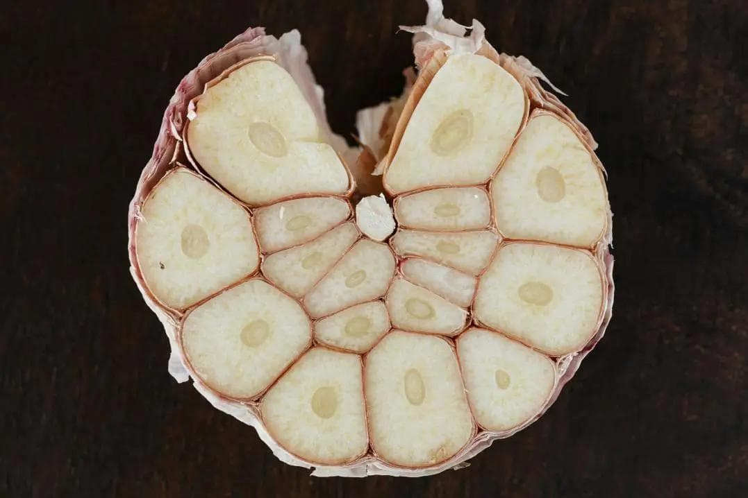 这种让人变臭的食物，很多人「爱不释口」（不是臭豆腐）
