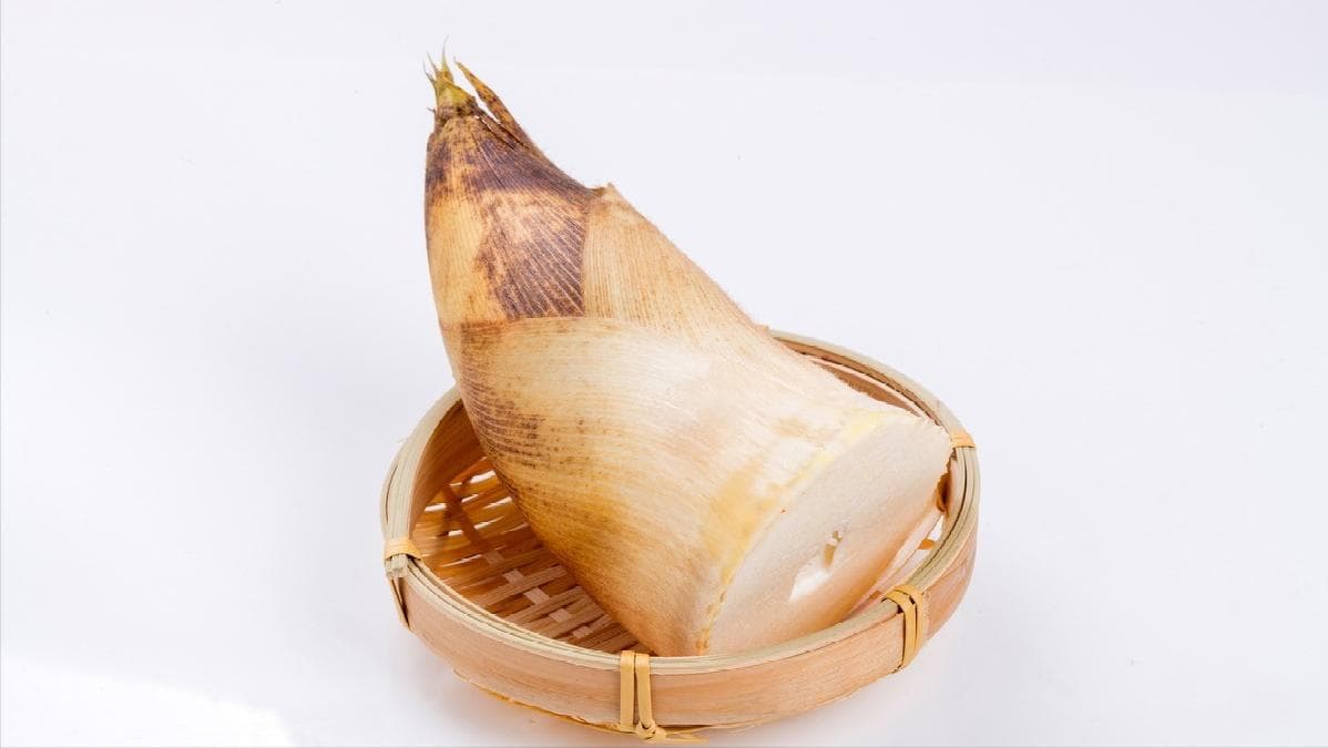 春季里的一道菜王：春笋——谈谈竹笋的养生功效