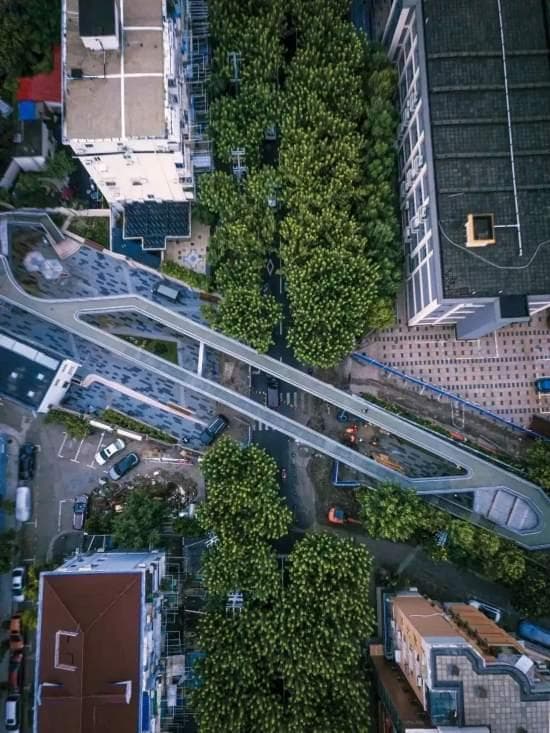 小小绿洲 打卡藏在上海“城市折叠层”里的绿化