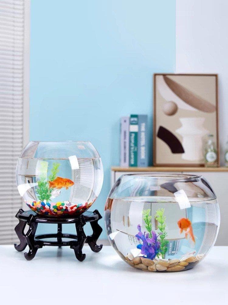 水质调节、过滤照明……养鱼必备用品选购指南