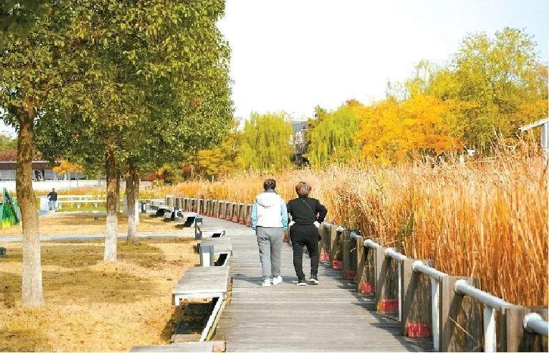上海深入推进卫生健康街镇建设：爱卫基层创新提升“家门口”健康获得感