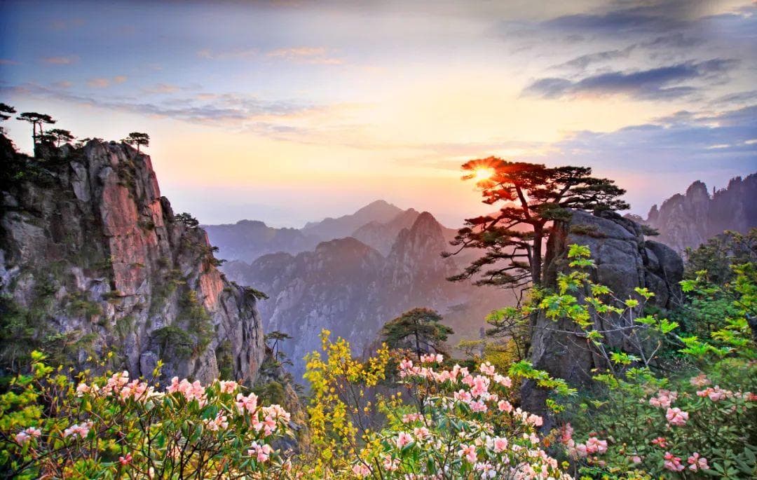 上春山，赏春花，邂逅黄山小美满