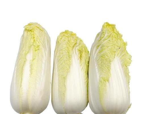 娃娃菜与白菜，它们到底是一回事（探究娃娃菜与白菜的关系及特点）