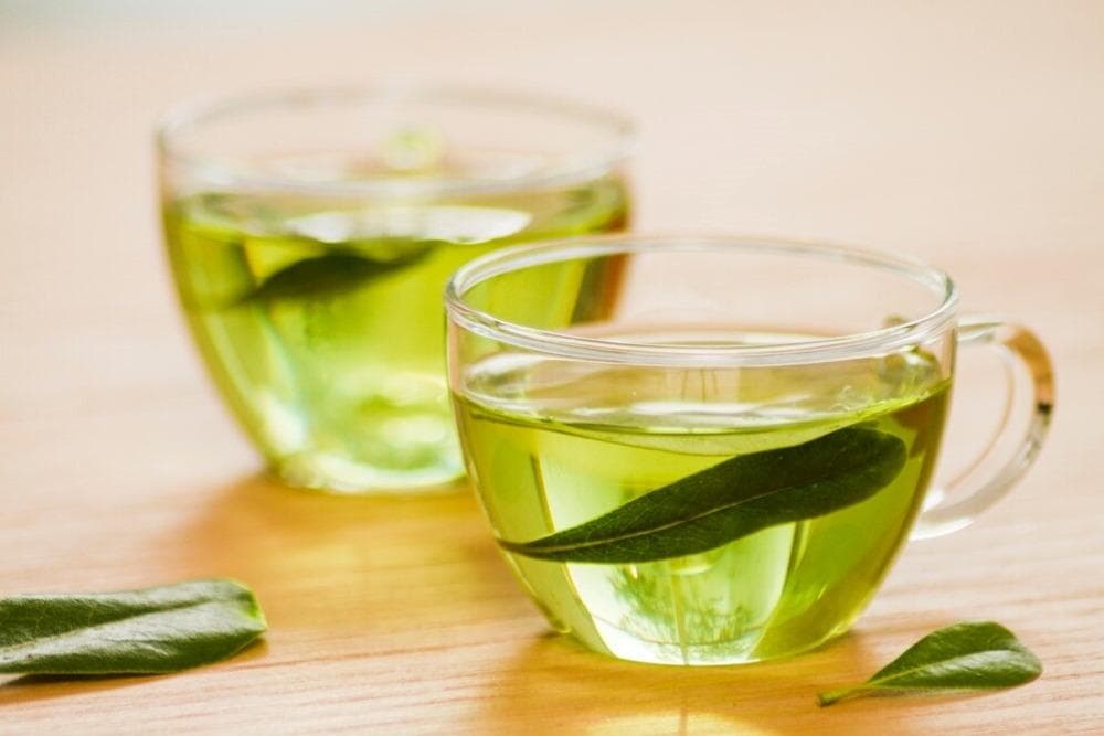 儿茶素功效全攻略：能控制食欲？减少脂肪堆积，简直是减重者福音！