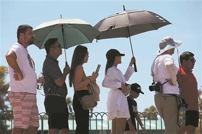 高温影响大脑功能值得关注