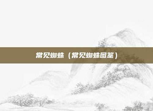 常见蜘蛛图鉴：家里和农村的蜘蛛种类大全