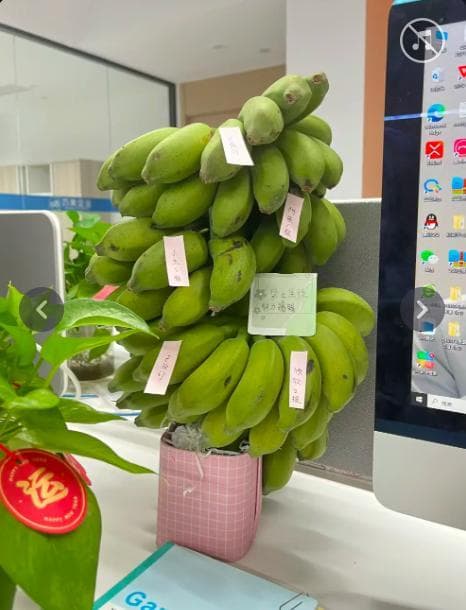 “禁止蕉绿”！办公桌上养这些植物试试→